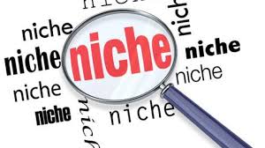 profitable amazon niche